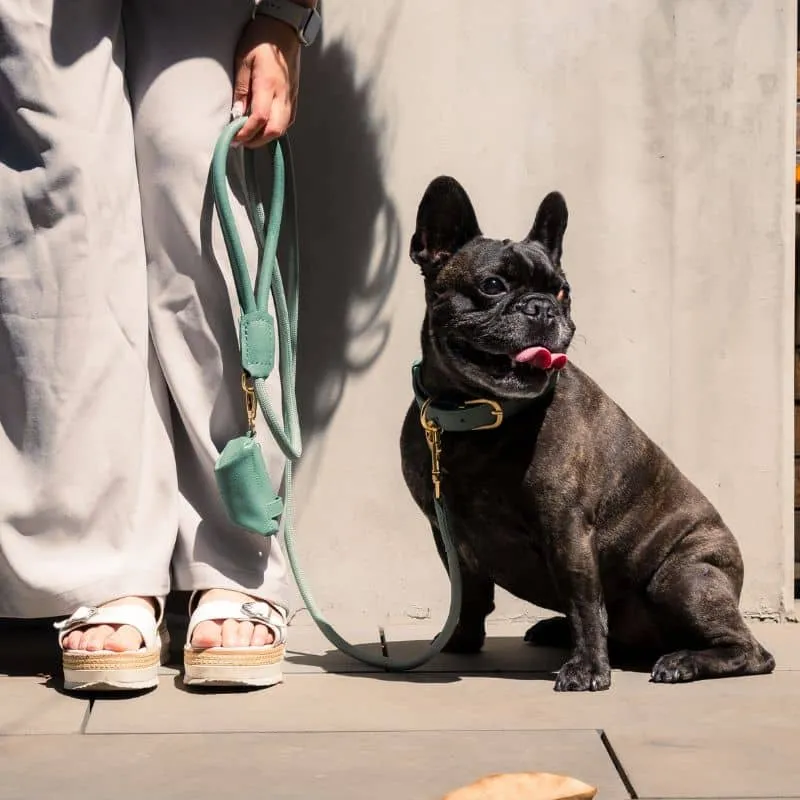 LAISSE EN CORDE POUR CHIEN - CORDE & CUIR VEGAN (DISPO EN ROSE, VERT ET BLEU)