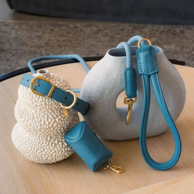 LAISSE EN CORDE POUR CHIEN - CORDE & CUIR VEGAN (DISPO EN ROSE, VERT ET BLEU)