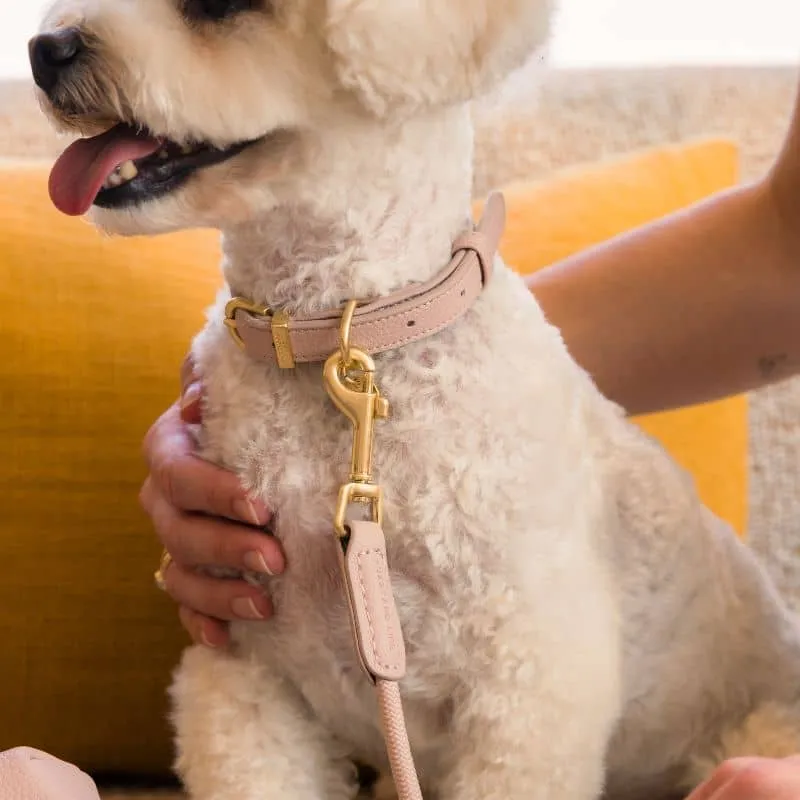 LAISSE EN CORDE POUR CHIEN - CORDE & CUIR VEGAN (DISPO EN ROSE, VERT ET BLEU)