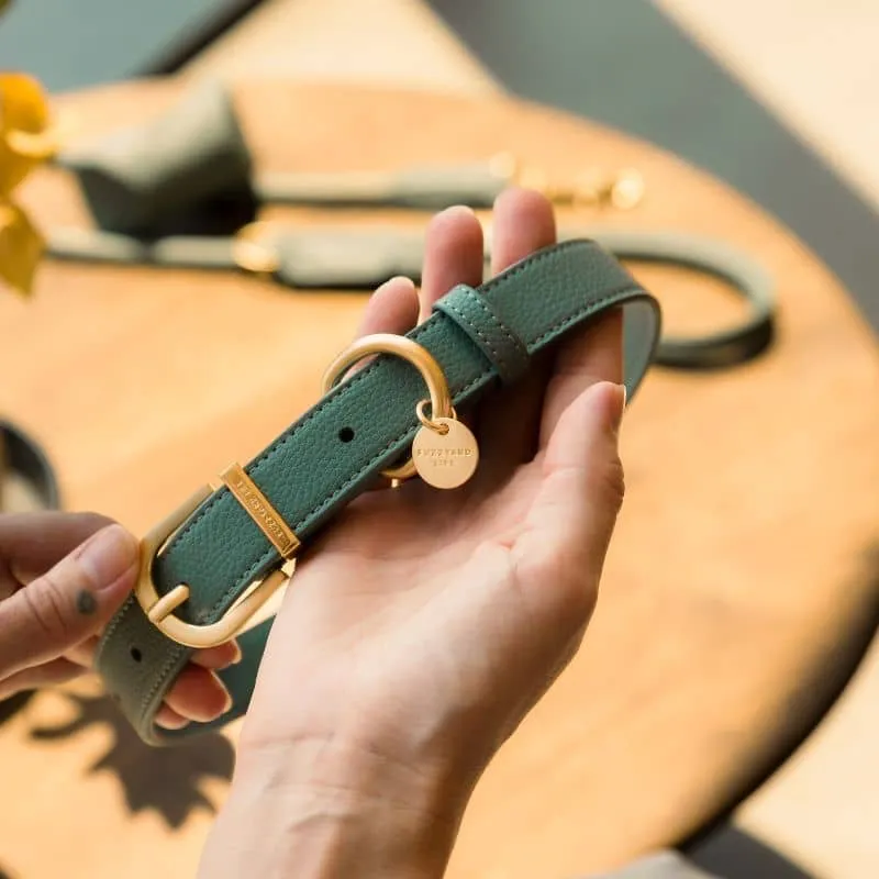 COLLIER POUR CHIEN - CUIR VEGAN (DISPO EN ROSE, VERT ET BLEU)
