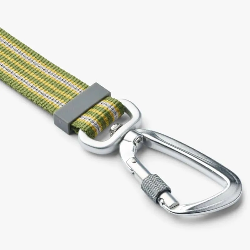 LAISSE AJUSTABLE POUR CHIEN URBAN FREESTYLE™ - VERT * NOUVEAU DESIGN