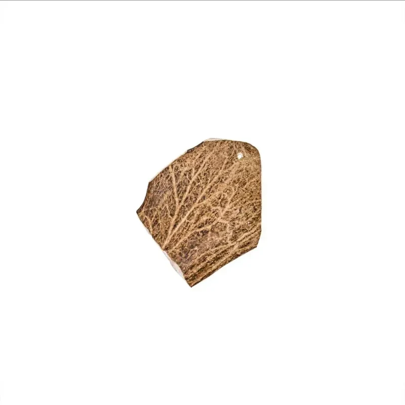 Bois de daim – Mastication longue pour chiens