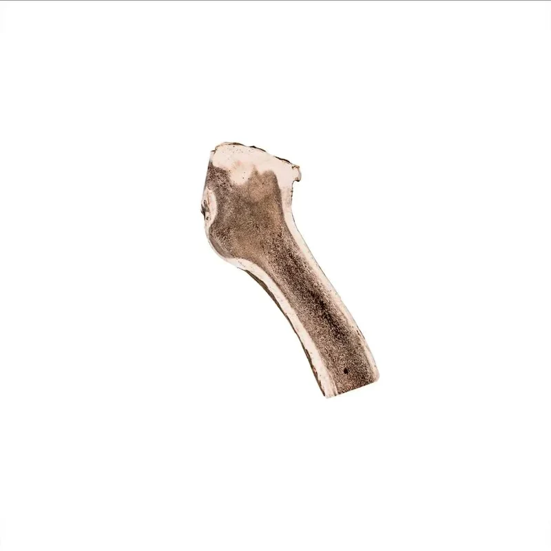 Bois de cerf tranché – Mastication longue pour chiens