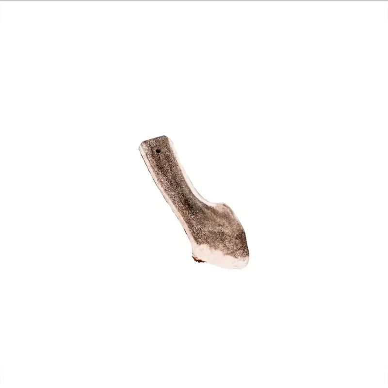Bois de cerf tranché – Mastication longue pour chiens