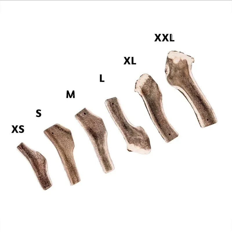 Bois de cerf tranché – Mastication longue pour chiens