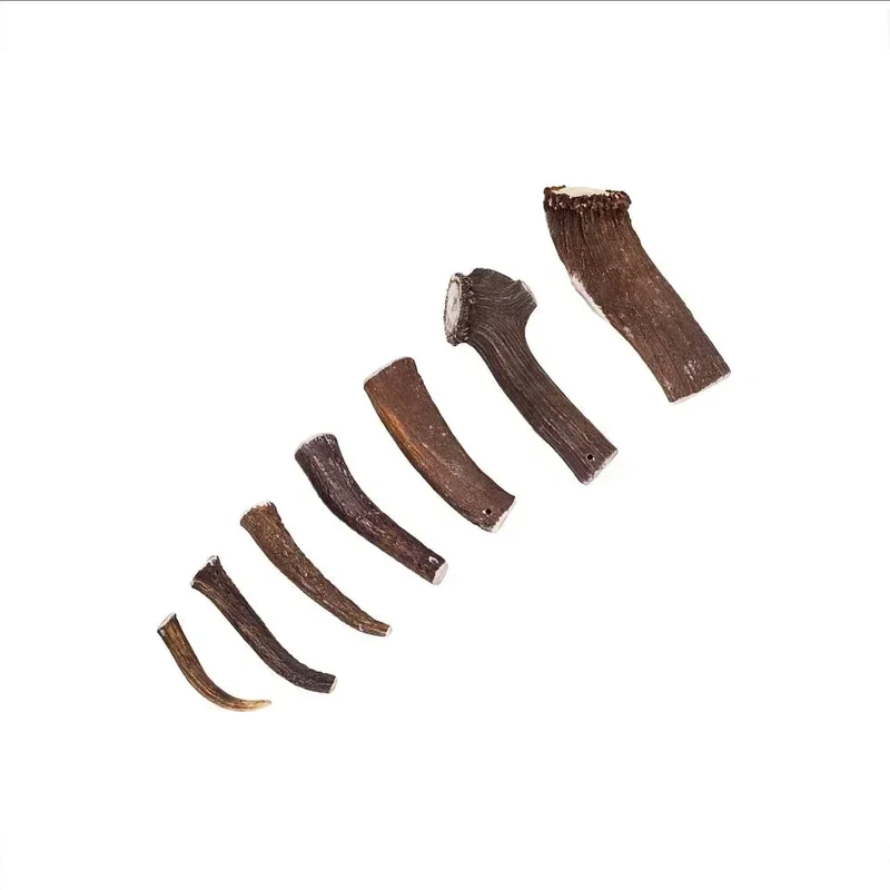 Bois de cerf entier – Mastication longue pour chiens