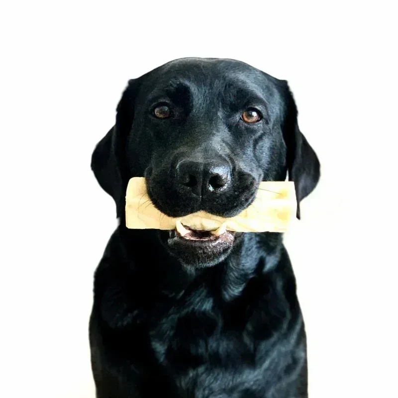 Cheese bone – Mastication gourmande pour chien – Barre au fromage