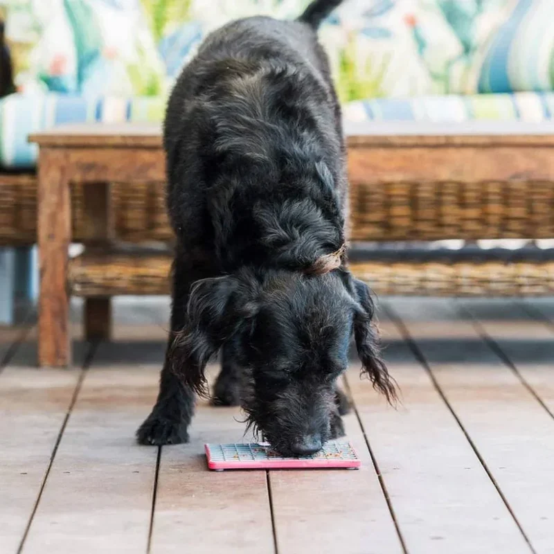 Lickimat Playdate Tuff – Tapis de léchage pour chiens