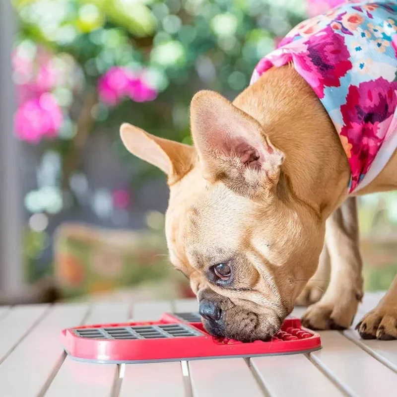 Lickimat Slomo – Tapis de léchage et gamelle anti-glouton pour chien et chat