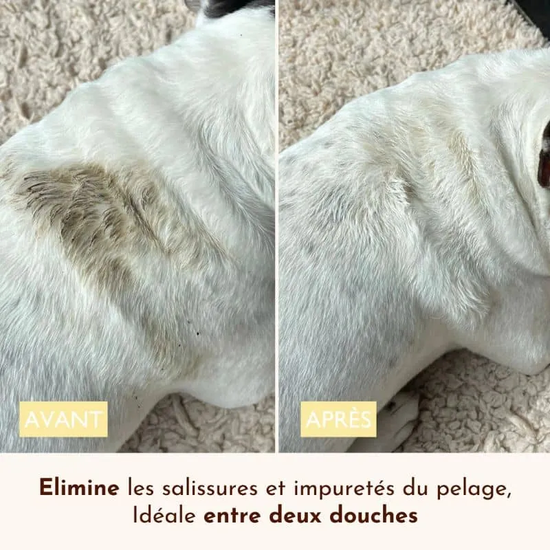 Eau nettoyante sans rinçage pour chien Ô pimpante
