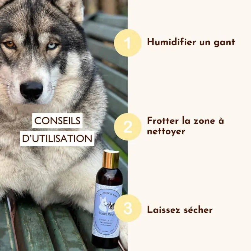 Eau nettoyante sans rinçage pour chien Ô pimpante