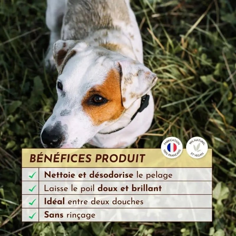 Eau nettoyante sans rinçage pour chien Ô pimpante