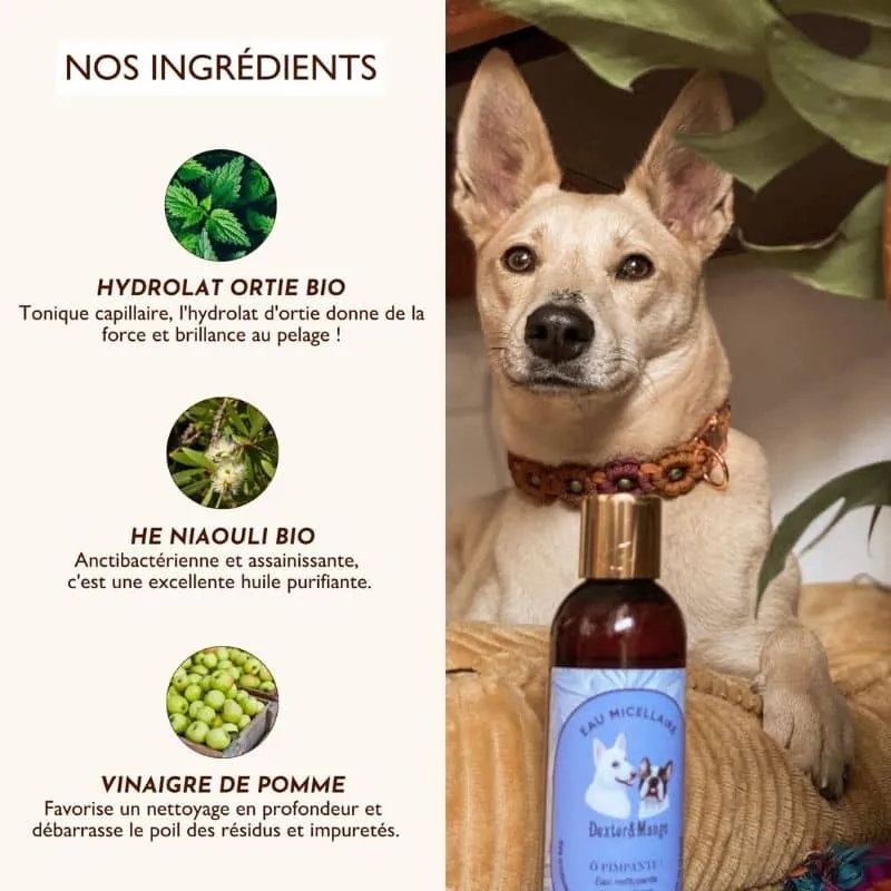 Eau nettoyante sans rinçage pour chien Ô pimpante