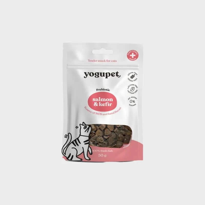 FRIANDISES POUR CHAT - SAUMON ET KEFIR