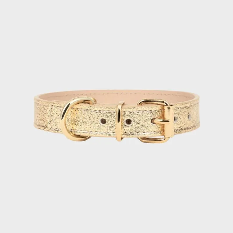 COLLIER EN CUIR POUR CHIEN - MÉTAL DORÉ
