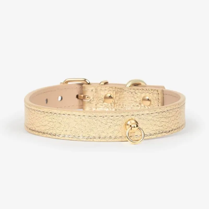 COLLIER EN CUIR POUR CHIEN - MÉTAL DORÉ