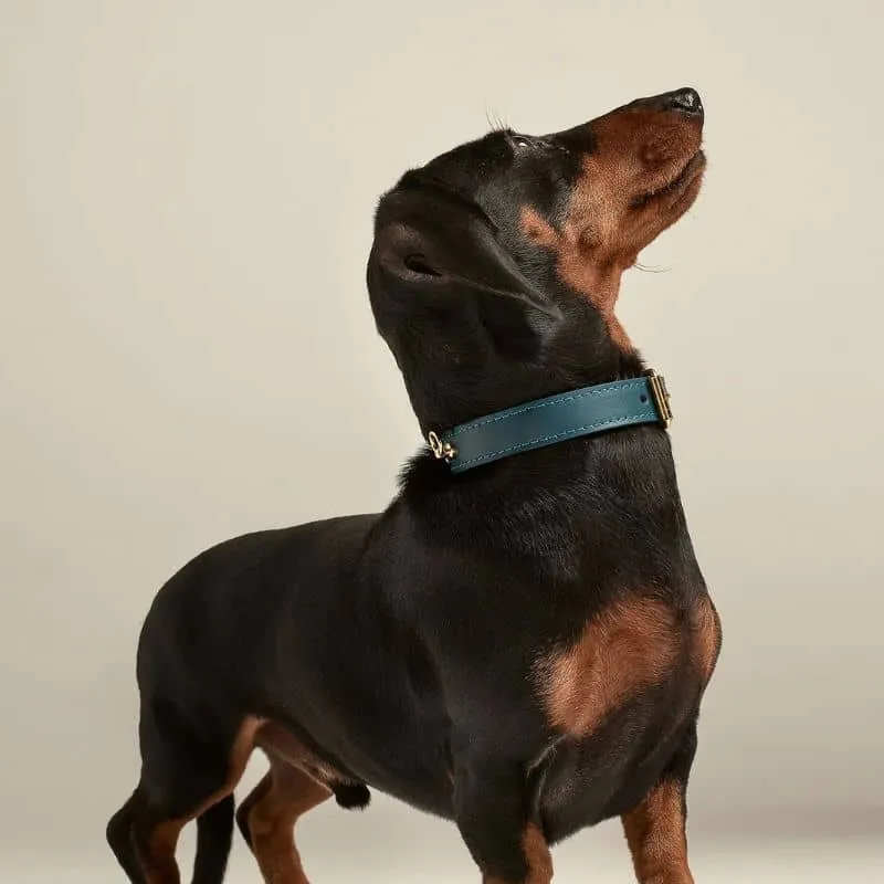 COLLIER EN CUIR POUR CHIEN - BLEU MARIN "NARA"