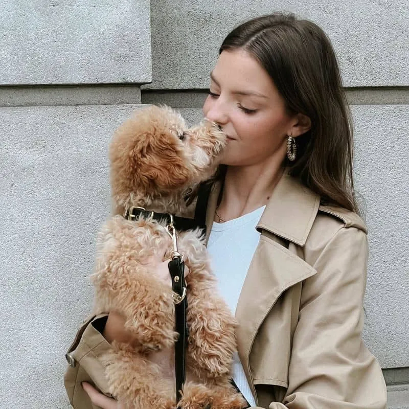 COLLIER EN CUIR POUR CHIEN - NOIR "NARA"