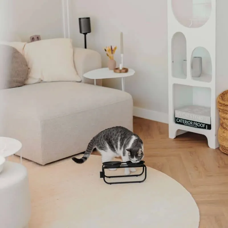 SUPPORT SURÉLEVÉ POUR GAMELLE DOUBLE POUR CHAT - MÉTAL NOIR
