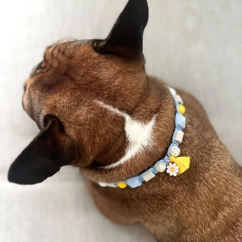 COLLIER ANTIPARASITAIRE POUR CHIEN PERLES DE CERAMIQUE EM - RÉPULSIF ANTI-TIQUE