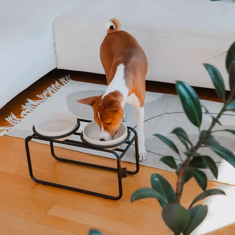 SUPPORT SURÉLEVÉ POUR GAMELLE DOUBLE POUR CHIEN - MÉTAL NOIR