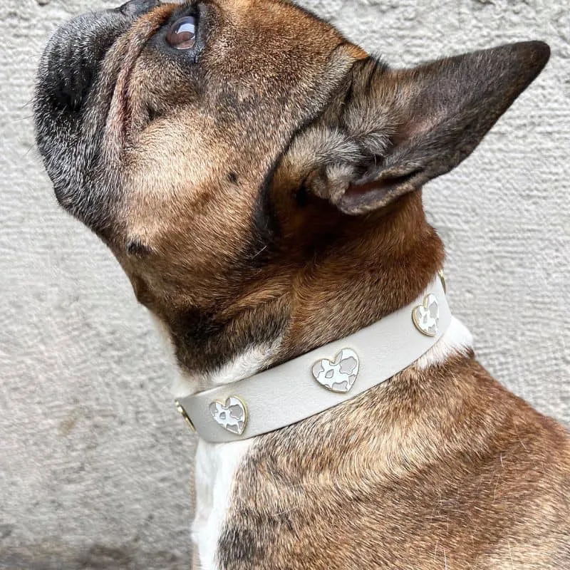 COLLIER POUR CHIEN AVEC CHARMS - COW LOVE 🤍
