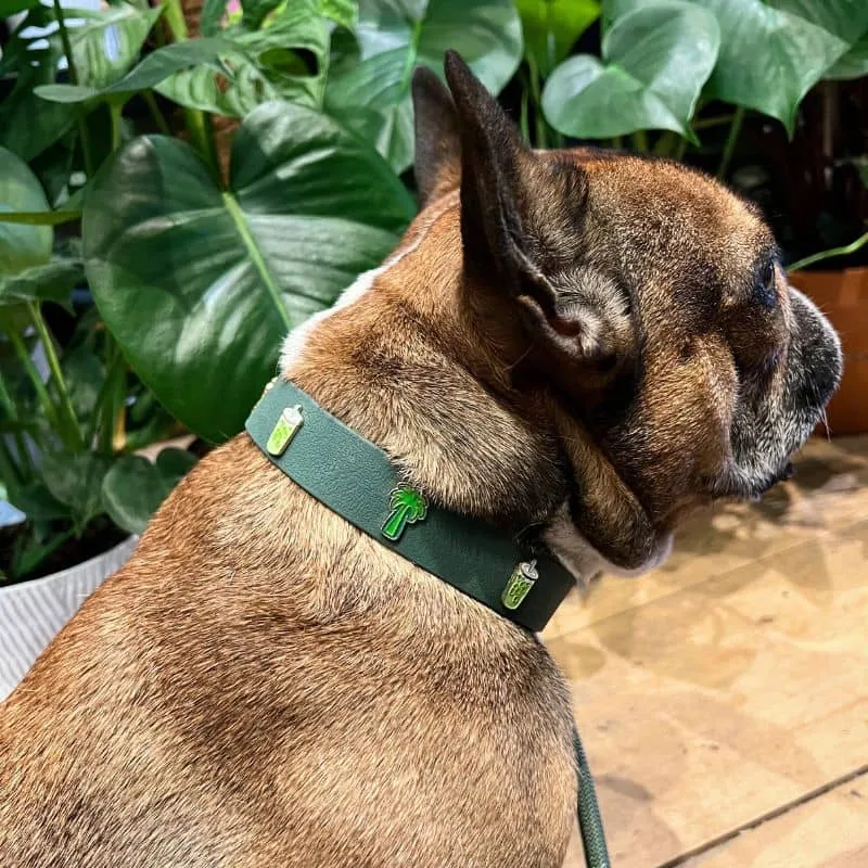 COLLIER POUR CHIEN AVEC CHARMS - LOVE YOU SO MATCHA 🍵🌴
