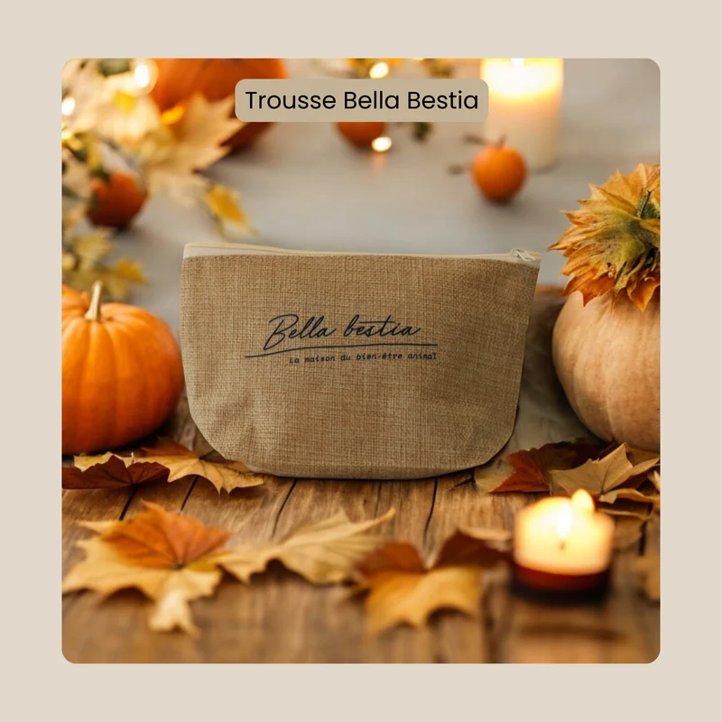 Pochette Bella Bestia