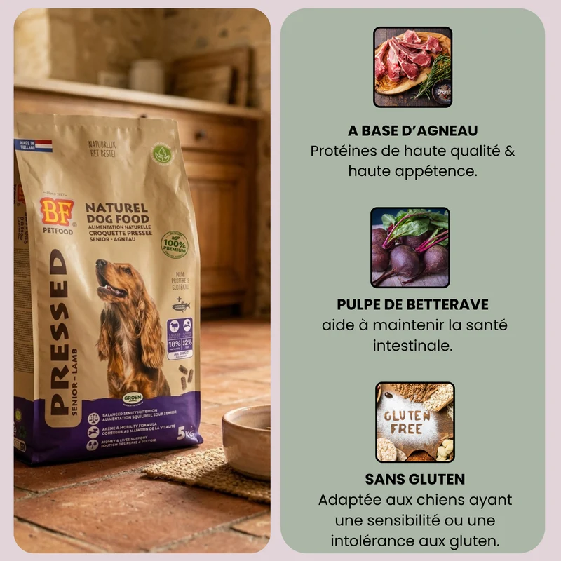Croquettes pressées pour chien senior