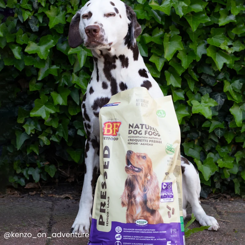 Croquettes pressées pour chien senior