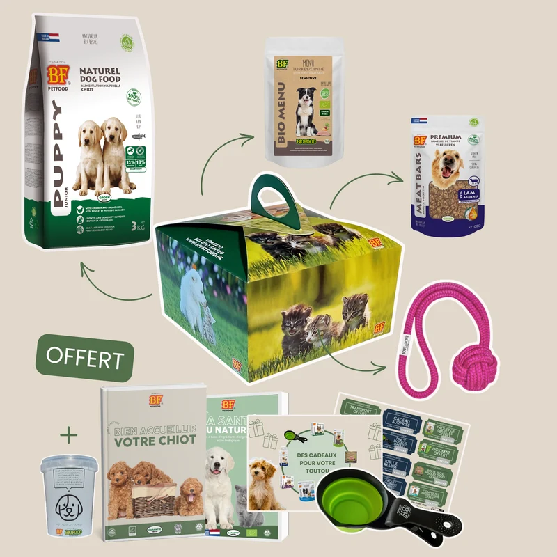 Box pour chiot de moyenne et grande taille