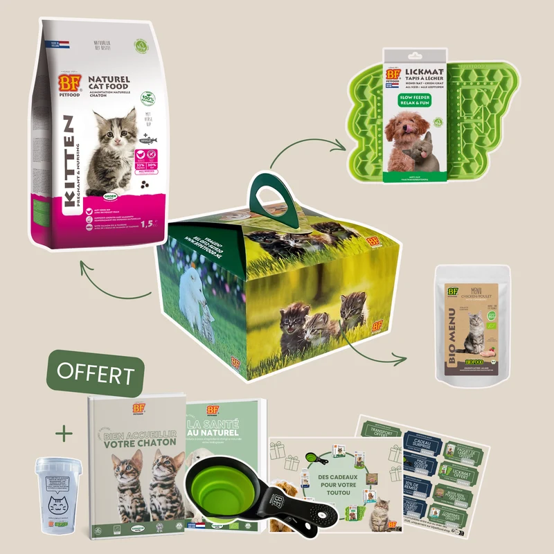 Box pour chaton