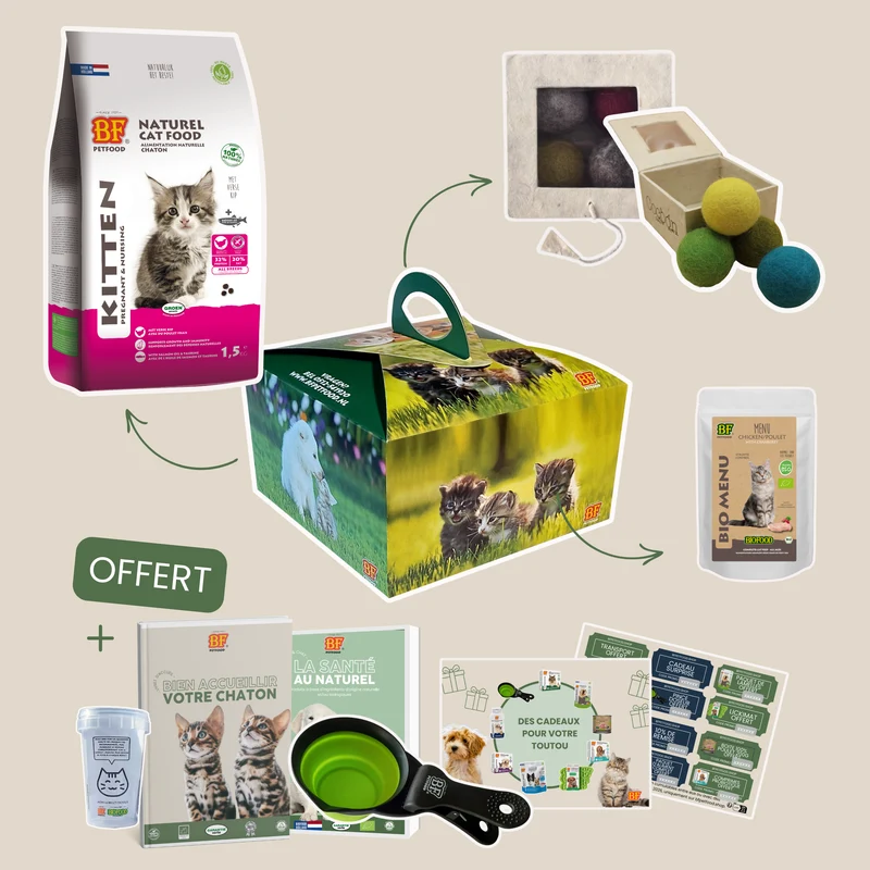 Box pour chaton