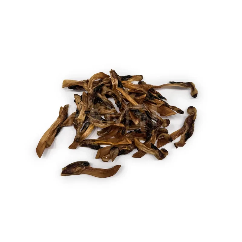 Couteau de mer séché – Friandises naturelles pour chien et chat