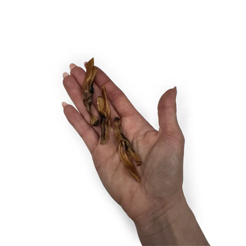 Couteau de mer séché – Friandises naturelles pour chien et chat