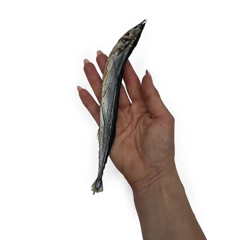 Aiguille de mer – Gourmandise naturelle pour chien