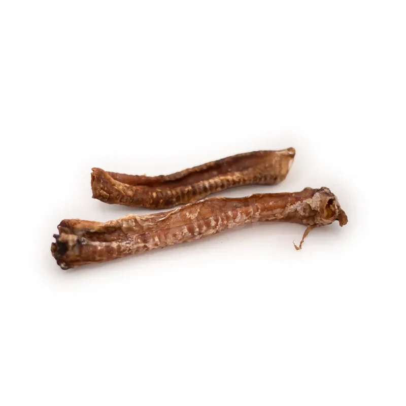 Trachée de chèvre – Mastication gourmande pour chien