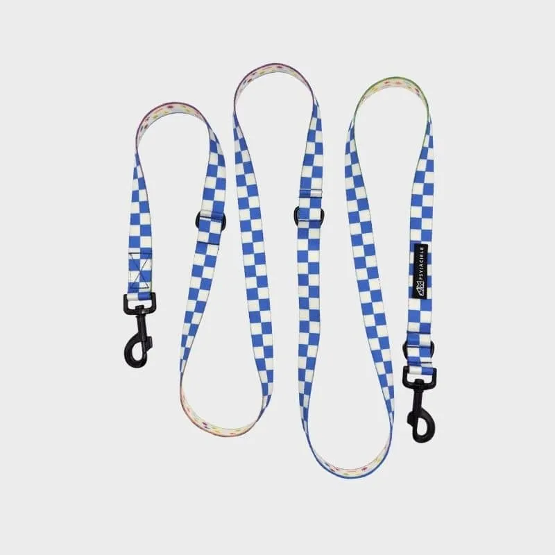 LAISSE MULTIPOSITIONS POUR CHIEN FAITE EN EUROPE 🇪🇺 - ARE WE SQUARE 🟦⬜️