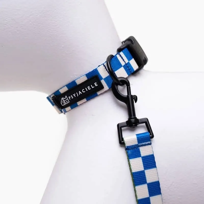COLLIER POUR CHIEN FAIT EN EUROPE 🇪🇺 - ARE WE SQUARE 🟦⬜️