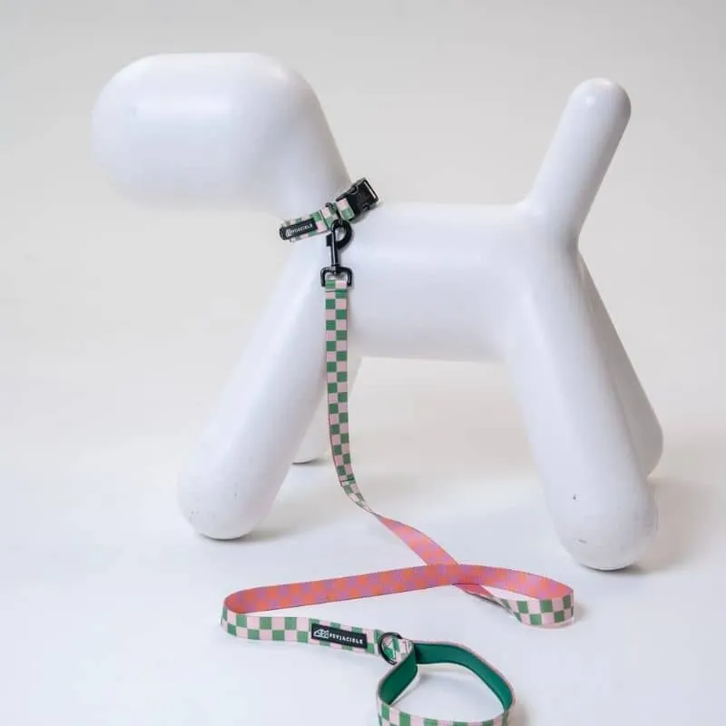 COLLIER POUR CHIEN FAIT EN EUROPE 🇪🇺 - THE WORLD IS COLORFUL