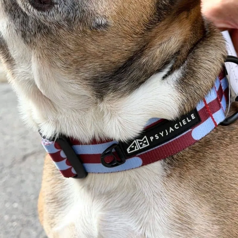 COLLIER POUR CHIEN FAIT EN EUROPE 🇪🇺 - CHERRY LADY 🍒