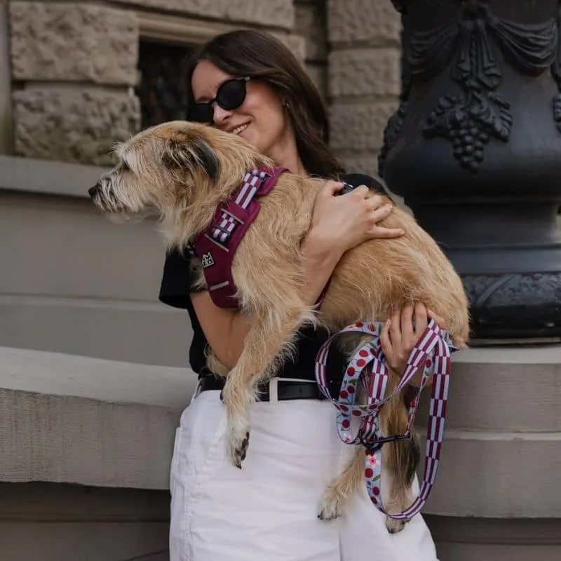 LAISSE MULTIPOSITIONS POUR CHIEN FAITE EN EUROPE 🇪🇺 - CHERRY LADY 🍒