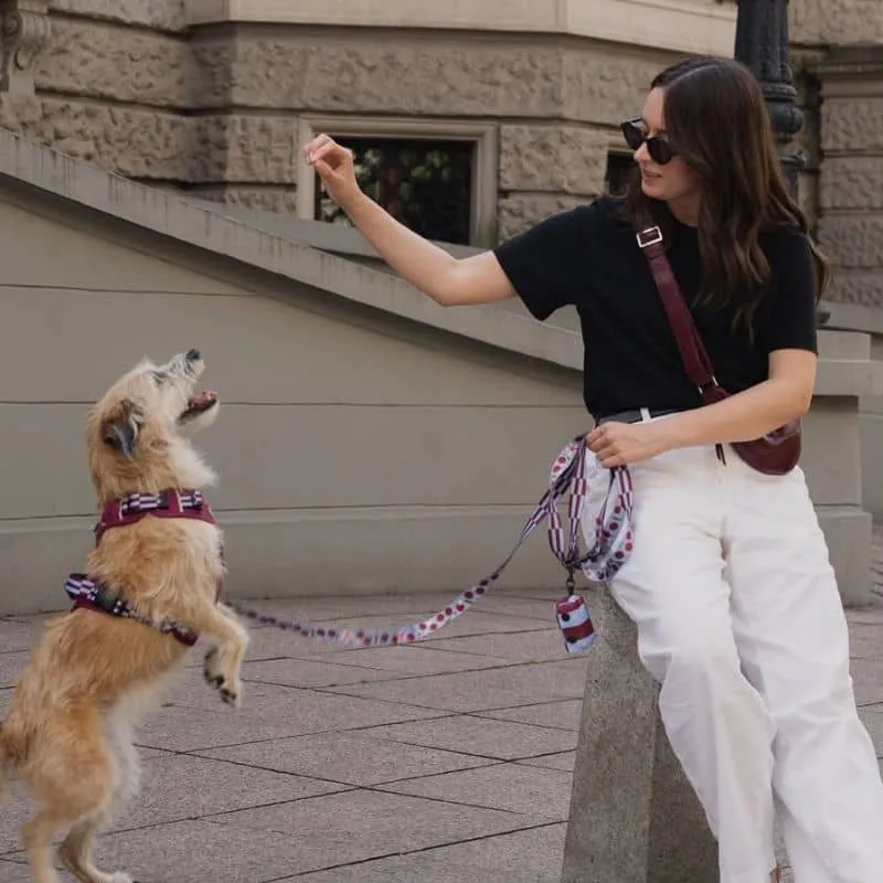 LAISSE MULTIPOSITIONS POUR CHIEN FAITE EN EUROPE 🇪🇺 - CHERRY LADY 🍒