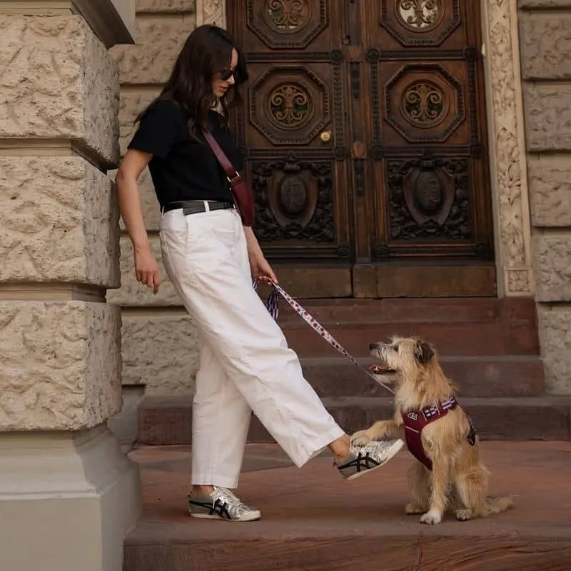 LAISSE MULTIPOSITIONS POUR CHIEN FAITE EN EUROPE 🇪🇺 - CHERRY LADY 🍒