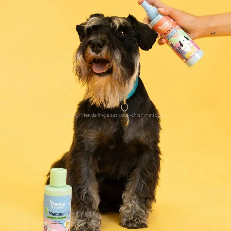 TROUSSE DE TOILETTE POUR CHIEN - SHAMPOING, PARFUM, BAUME & BROSSE