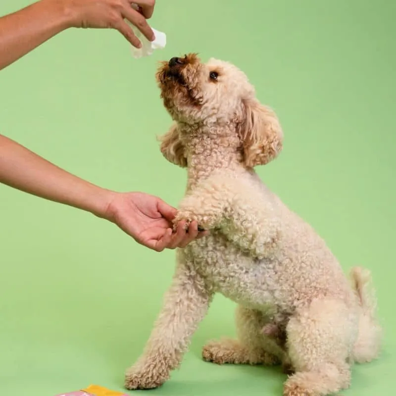 LINGETTES NETTOYANTES POUR LE CORPS - POUR CHIEN