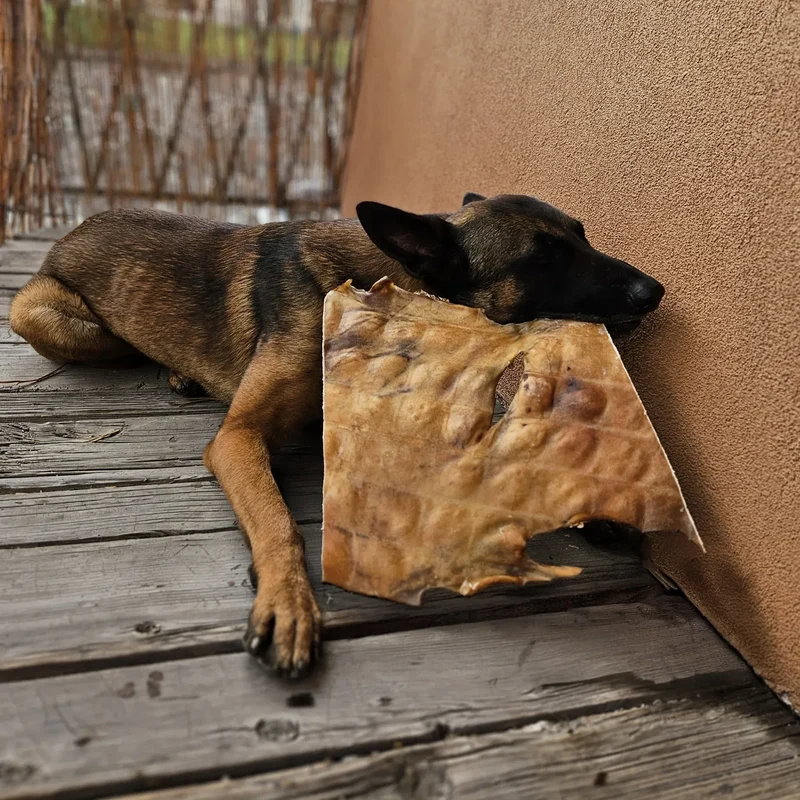 Plaque de peau boeuf – Mastication gourmande XXL pour chiens