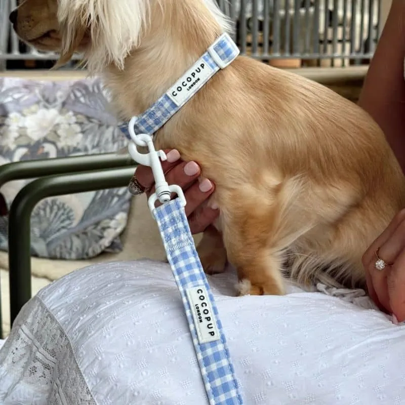 COLLIER POUR CHIEN TISSU - VICHY BLEU "ENGLISH BLUE"