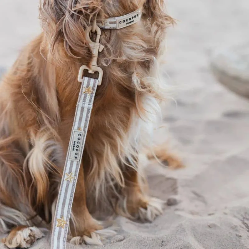 LAISSE POUR CHIEN TISSU - SANDY STARPAWS 🐚
