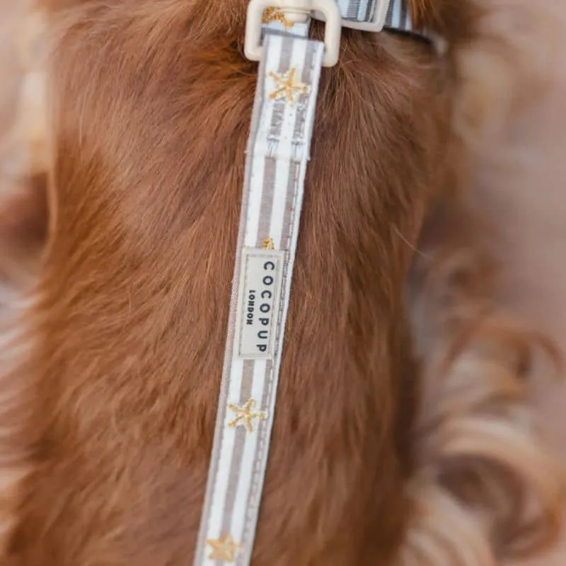 LAISSE POUR CHIEN TISSU - SANDY STARPAWS 🐚